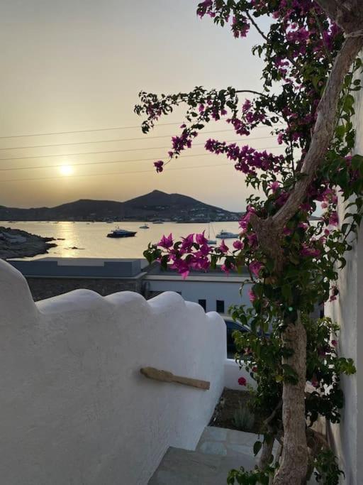 Ferienhaus Linardo's Cycladic House