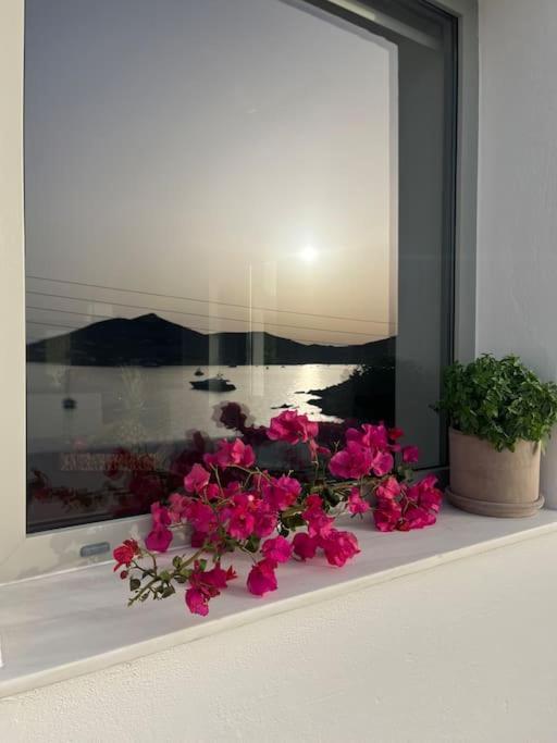 Linardo's Cycladic House Naoussa